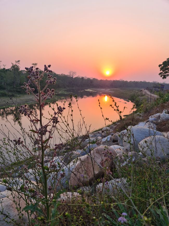 Sunset in Chitwan National Park.