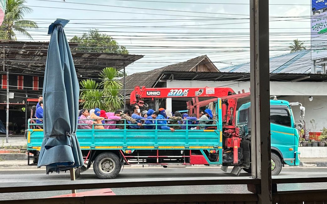 Voyage en Thaïlande et Elephant Haven