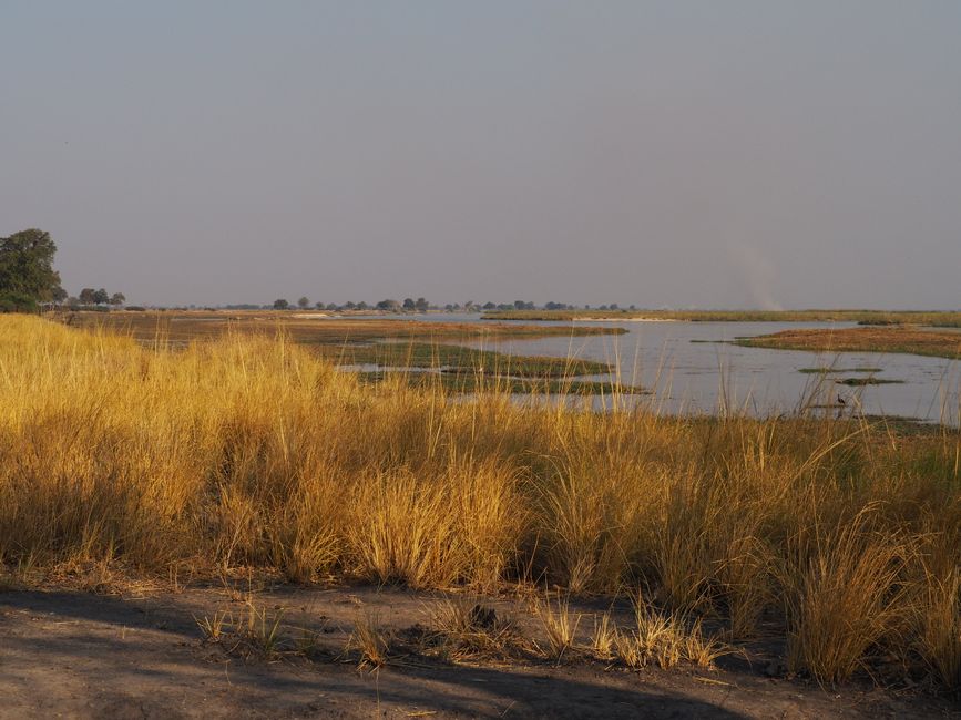 Safari pur-das Abenteuer beginnt