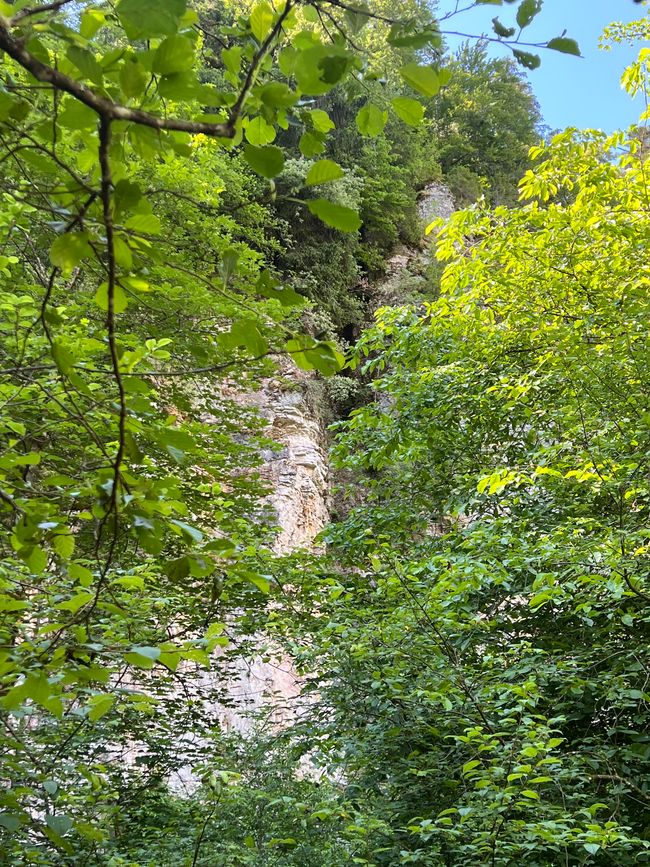 28 Wutachschlucht Pro Wolermoos