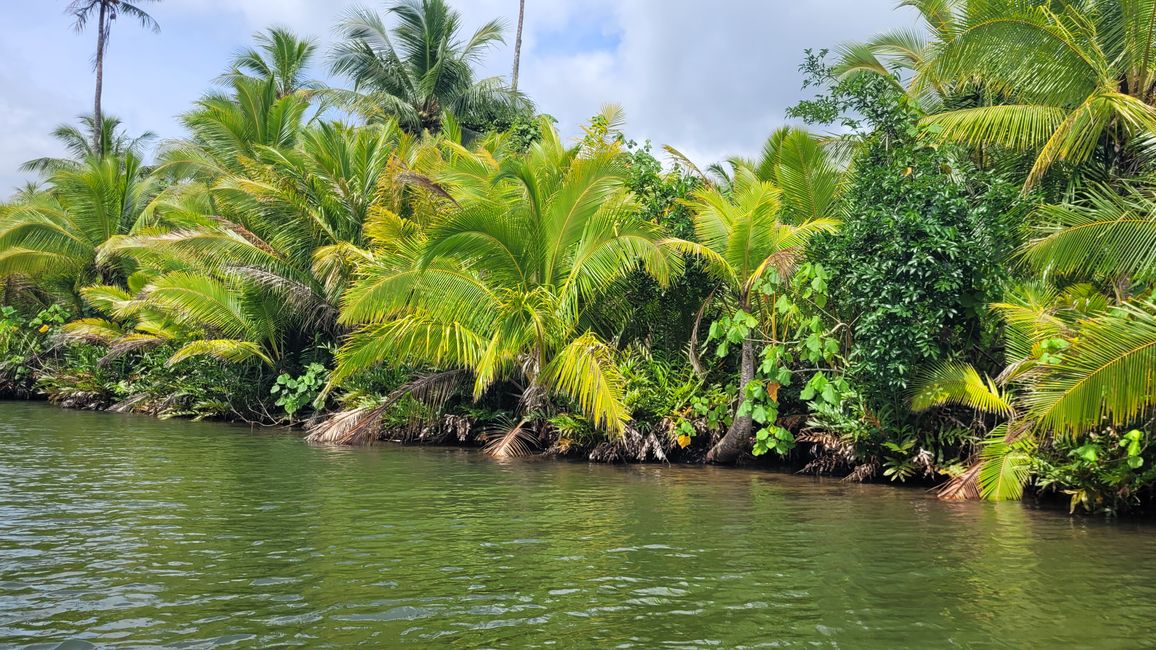 Raiatea – Along the Fa’aroa River