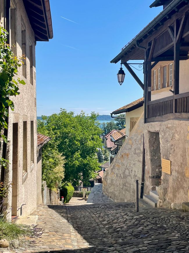Erlach