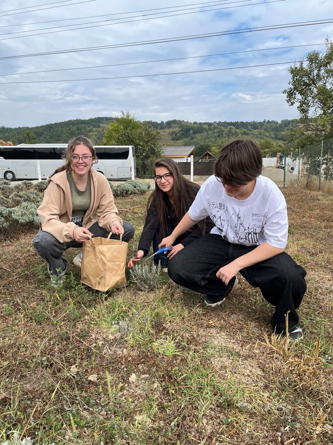 Nature, animaux et solidarité : notre excursion à « Royal Lavendel » à Florești
