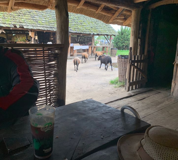 Wolin am Stettiner Haff