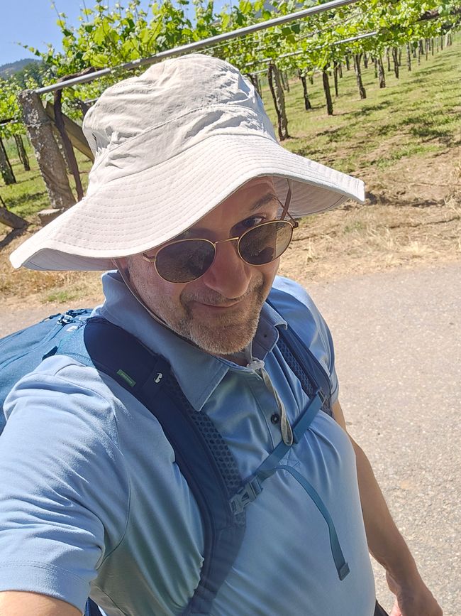 Tag 6 - Pondevedra bis Briallos