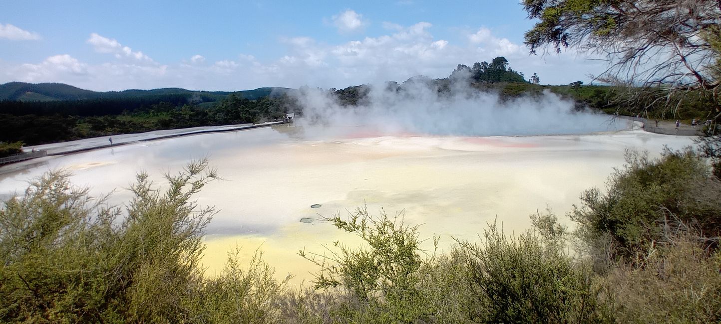 Wai-O-Tapu / Rotorua