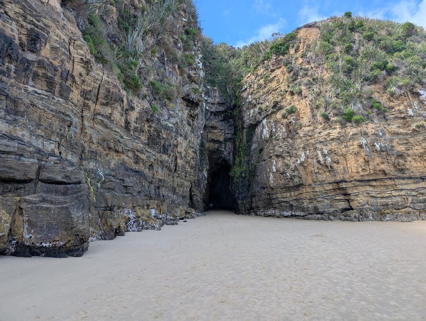 Dunedin - Manapourie