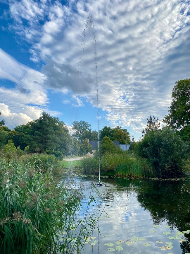 Where the prince rests and the soul takes a stroll