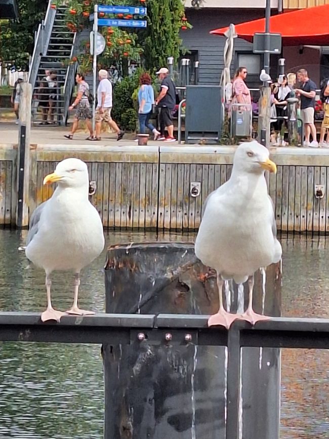 Rostock/Warnemünde