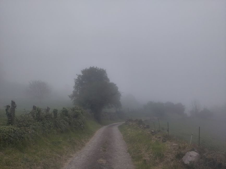 Über die Berge ans Meer...