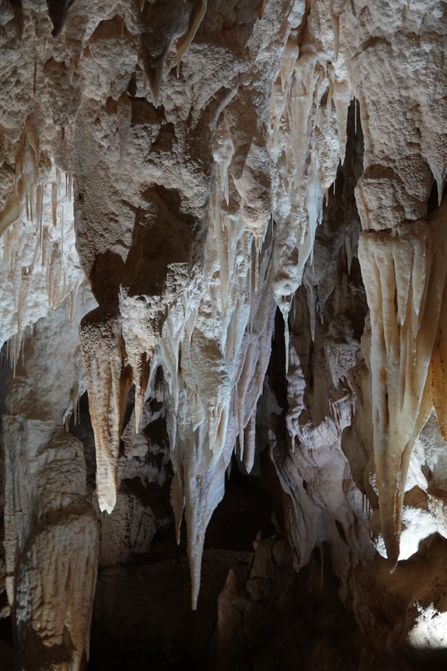 Grotte di Waitomo ....