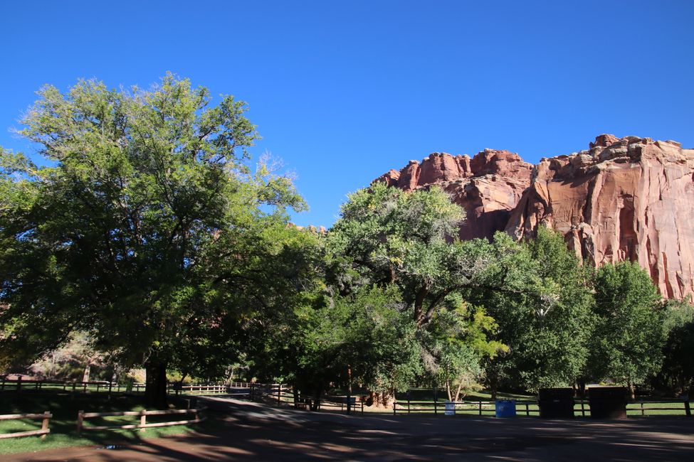 Day 22 Capitol Reef NP and Goblin Valley State Park