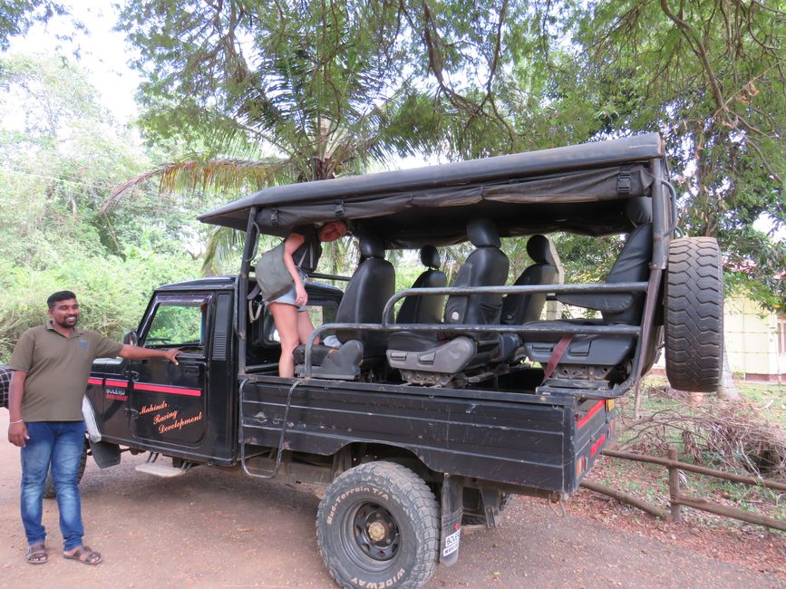 Udawalawa - Safari avec des éléphants