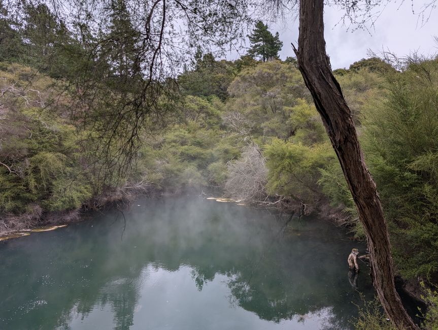 Turangi