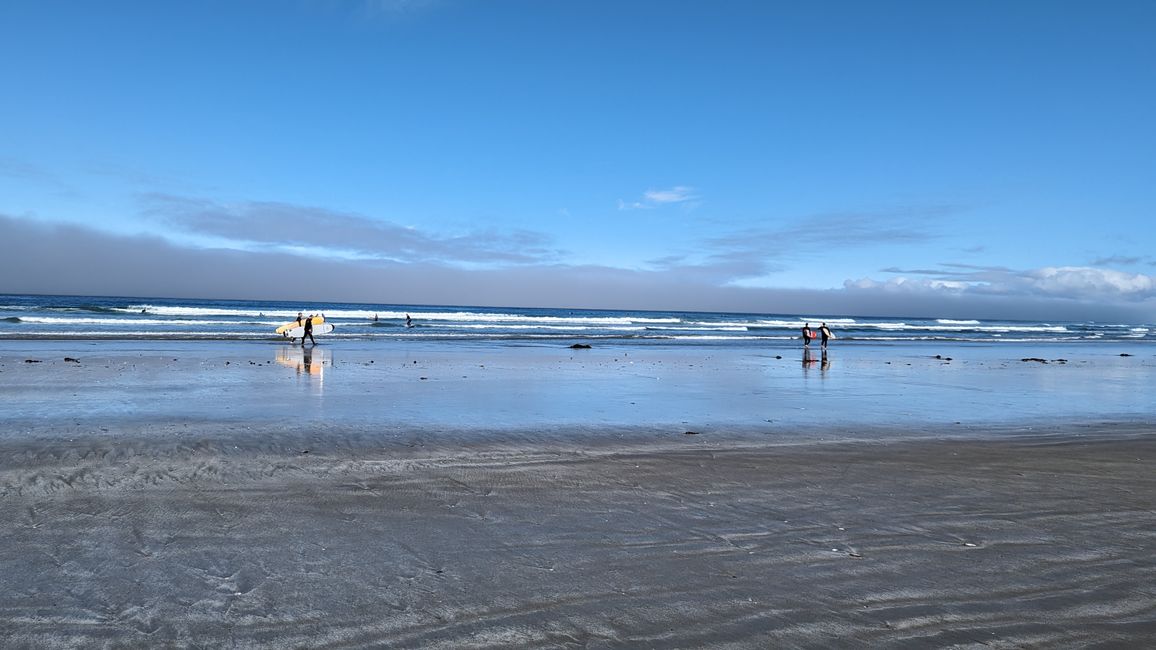 Etiqueta 7: Parque Nacional Pacific Rim - Ucluelet - Tofino