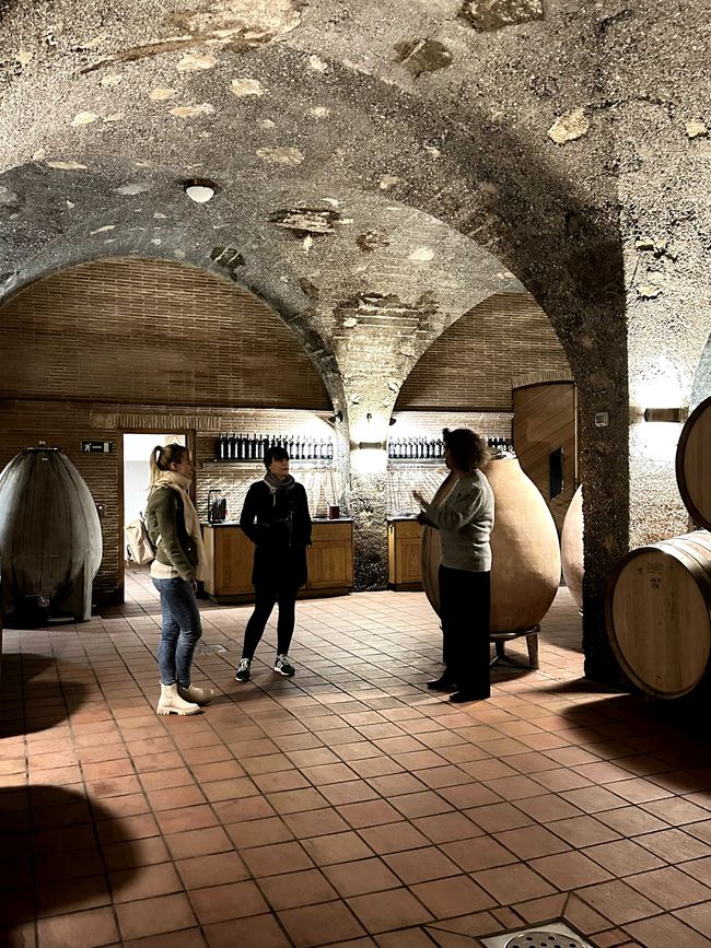 Tuscany Tour - Stop 3: Wine Tasting in Montalcino
