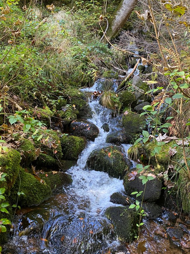 Auch hier gibt es kleine Wasserfälle