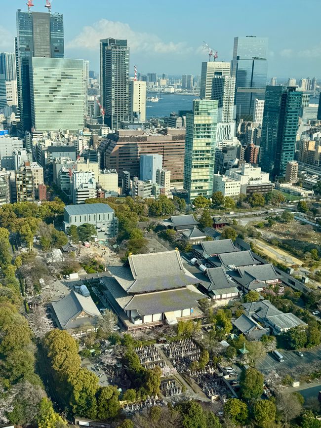 Parte 7
BENVENUTO IN GIAPPONE 🇯🇵
TOKYO