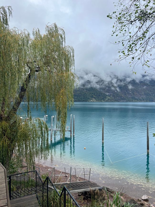 nochmal lake view