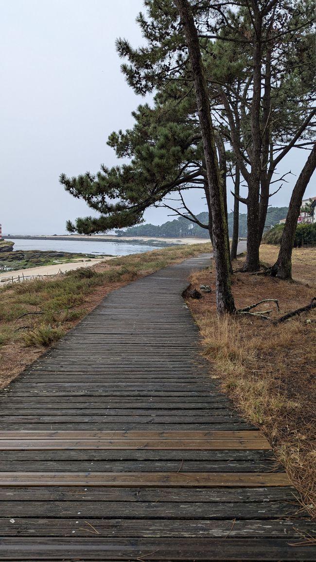 5. Stage Camino Portuguese da Costa from Ancora to A Guarda