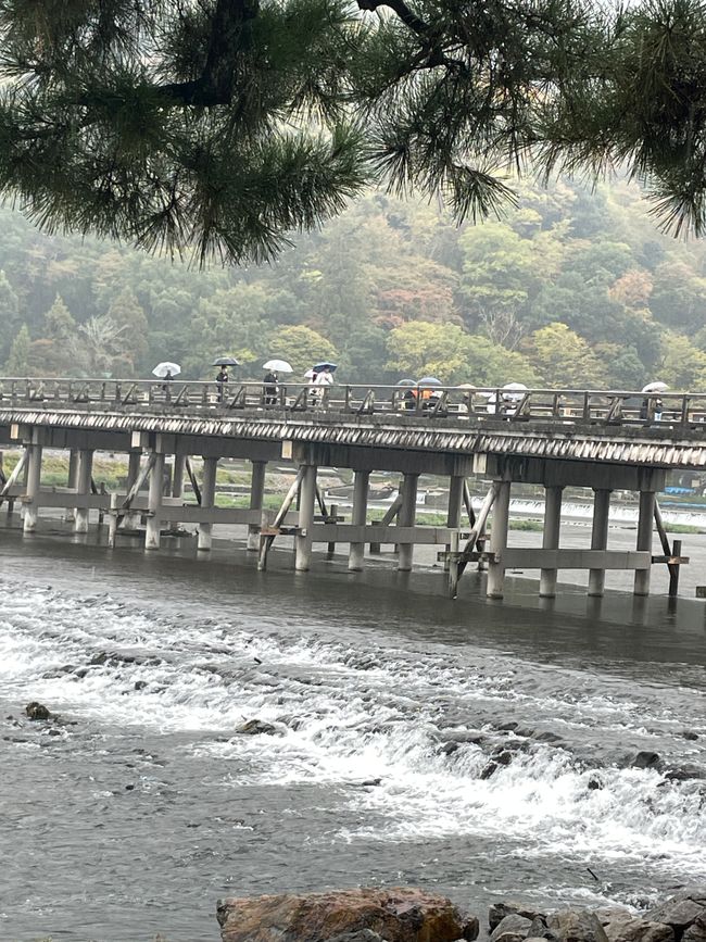 Menschen im Regen auf der Brücke von Arashiyama