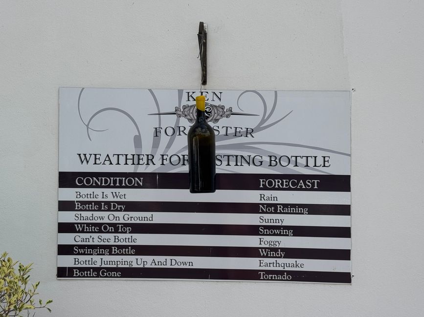 South Africa🇿🇦Week 6