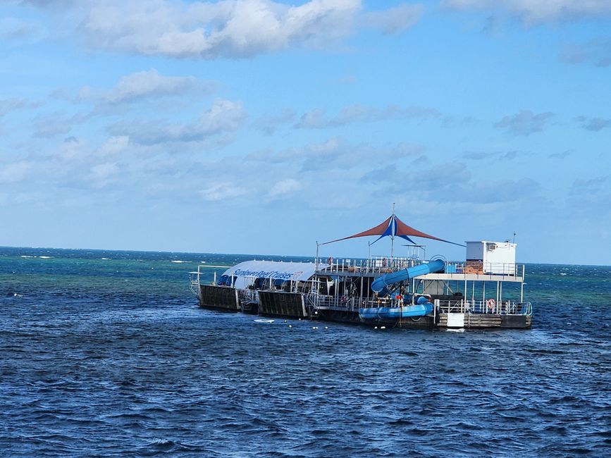 Tag 27, 21. Mai, Great Barrier Reef