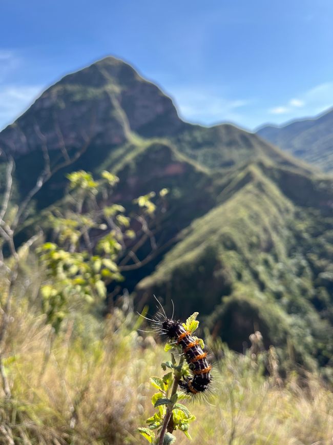 Codo de los Andes