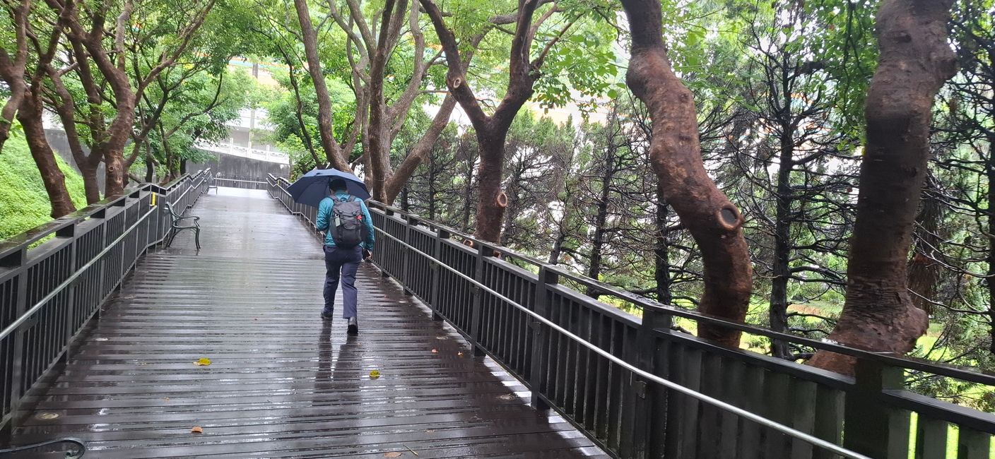 Palace Museum Garden in the morning
