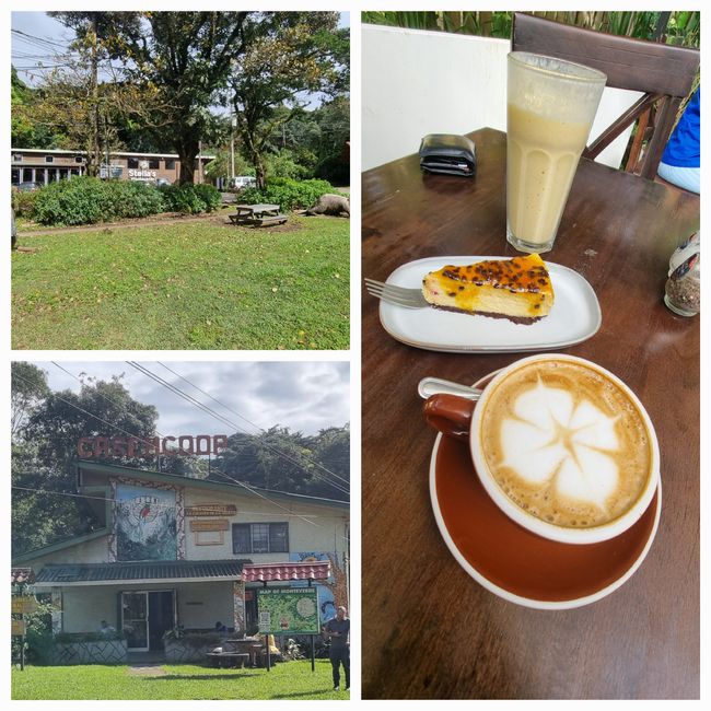Monteverde de Stella