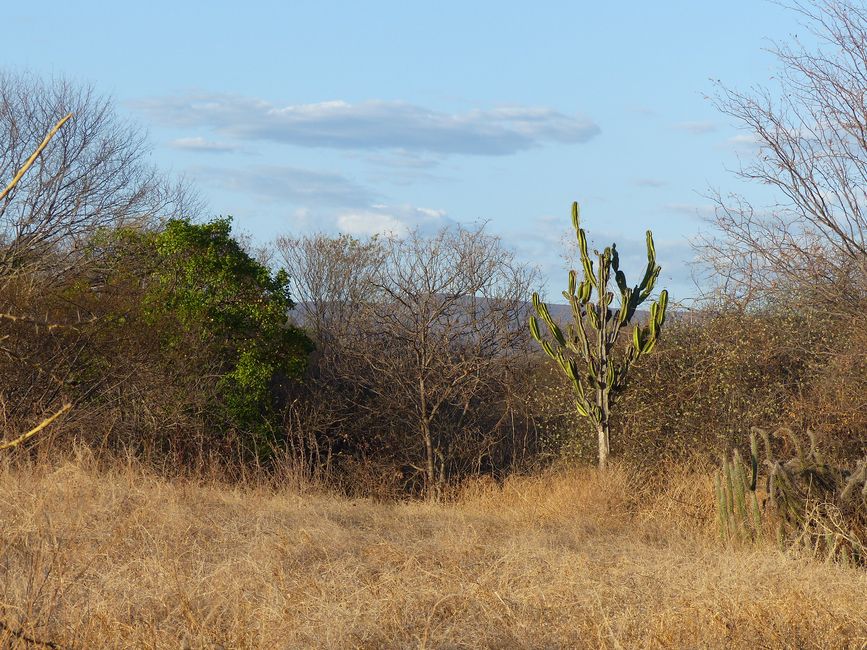 Brasil, Parque Nacional Diamantes Parte II