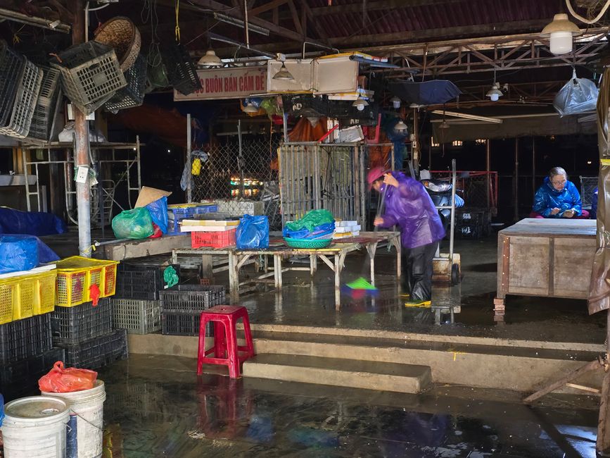 Hoi An - les travaux de nettoyage ont commencé