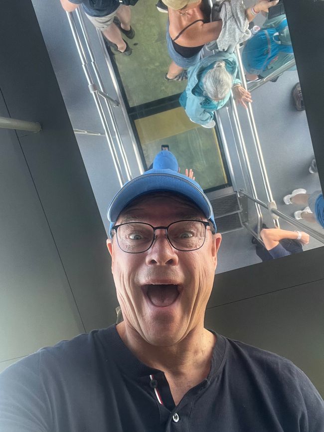 Blue Mountains - Glasboden