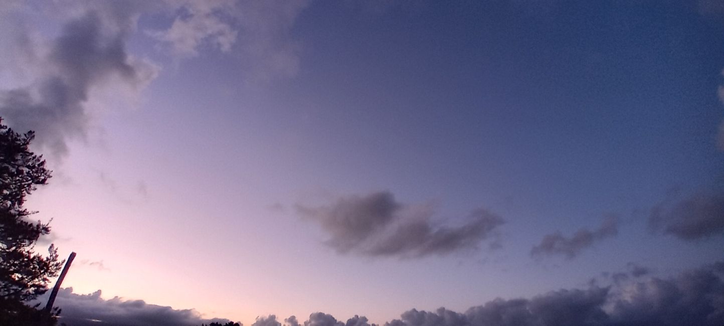 Tauranga
