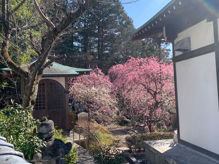 Kyoto