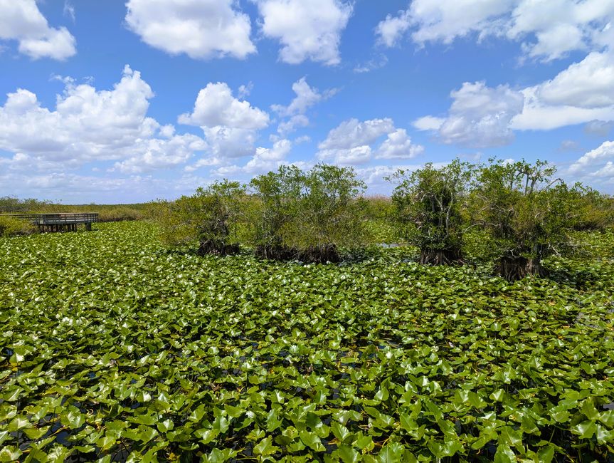 Everglades National Park
