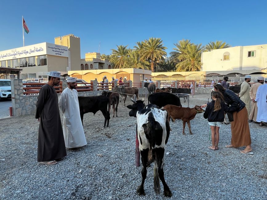 Nizwa