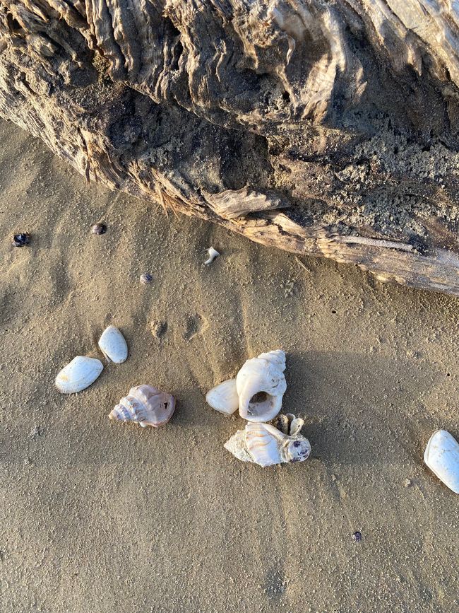 About the KariKari beach to Whangarei