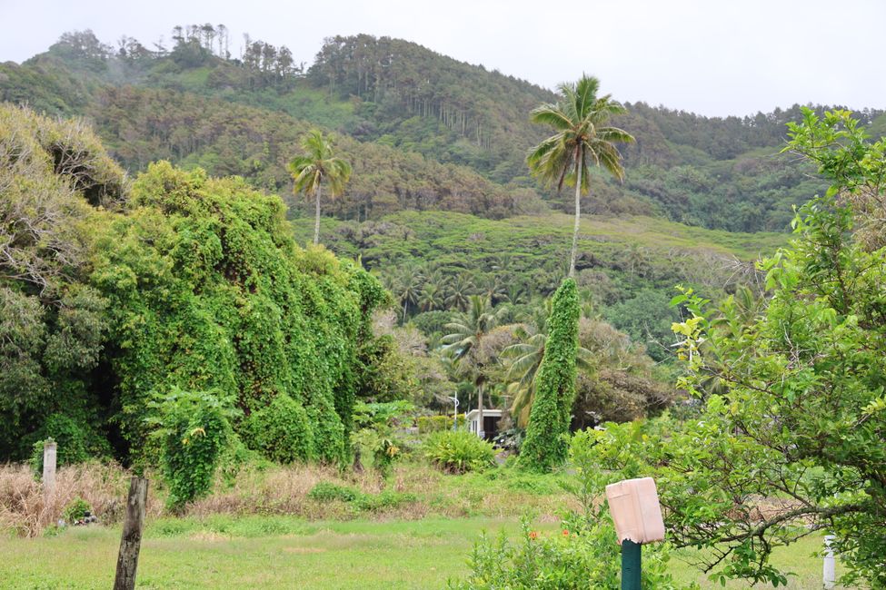 Addio a Rarotonga