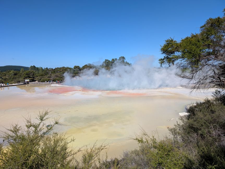 Champagne pool