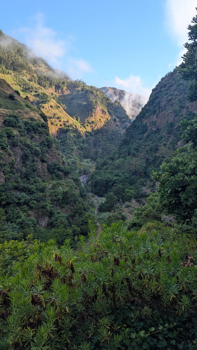 Tag 8: Wandern entlang der Levada do Moinho & Levada Nova