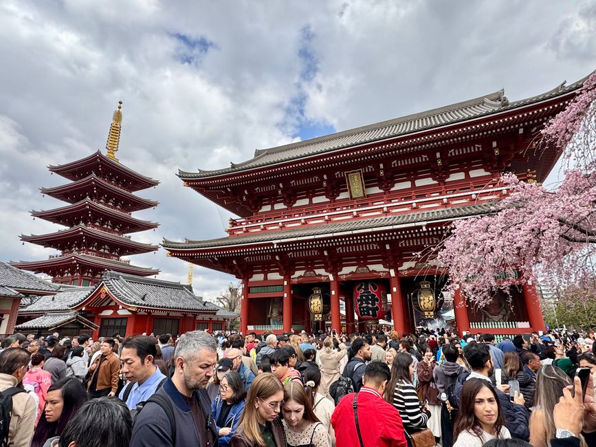 Parte 7
BENVENUTO IN GIAPPONE 🇯🇵
TOKYO