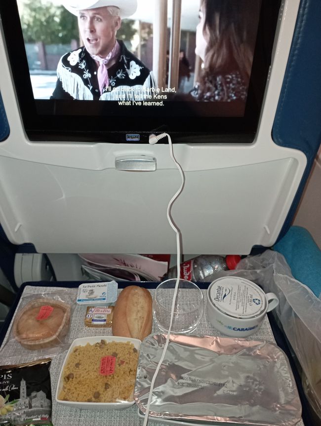 Rückreise (auch wieder) mit Hindernissen, Bombendrohung im Pariser Bahnhof