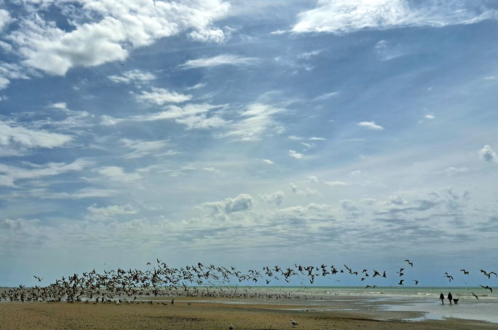 Arrêté en Normandie
