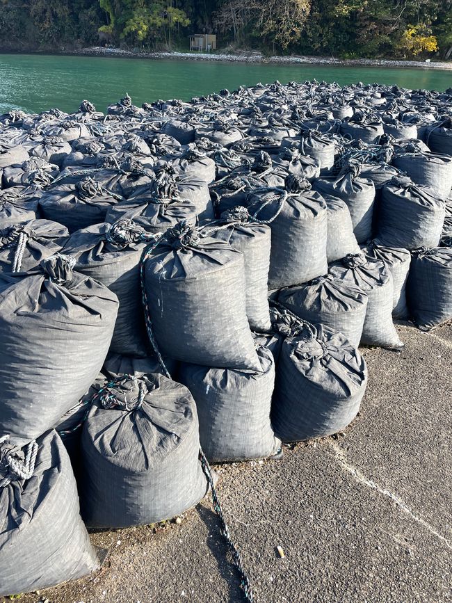 30.Kapitel: Adler über Maizuru oder genug ist vielleicht mal genug