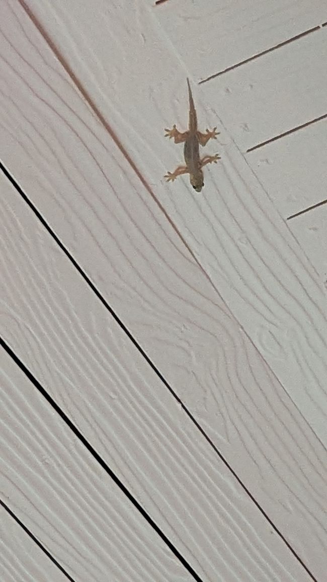 Thailändische Küche