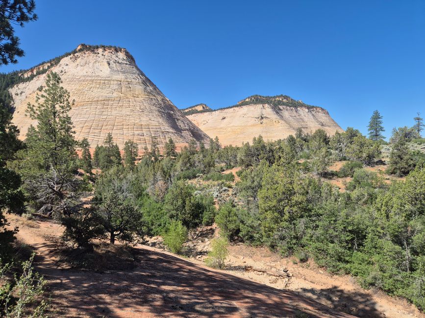 Zion Nationalpark