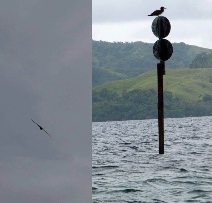 Lomaloma, Insel Vanua Balavu, Fidschi