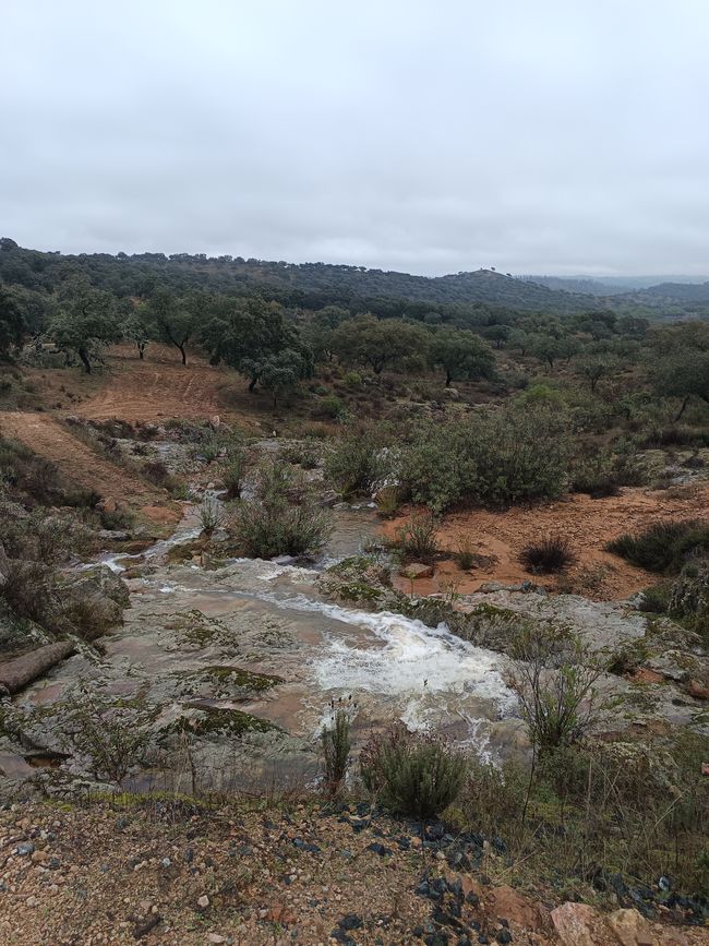 Bonita vista en el parque nacional