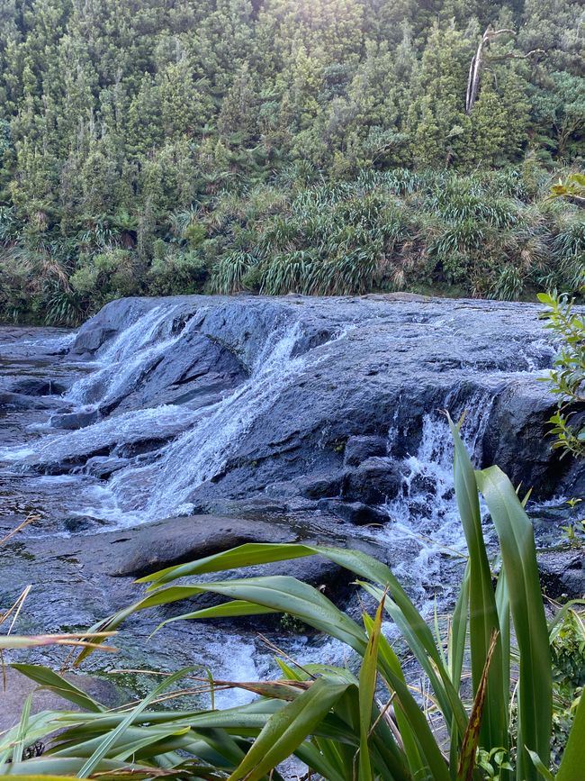 Percorso Cascate di Wairere